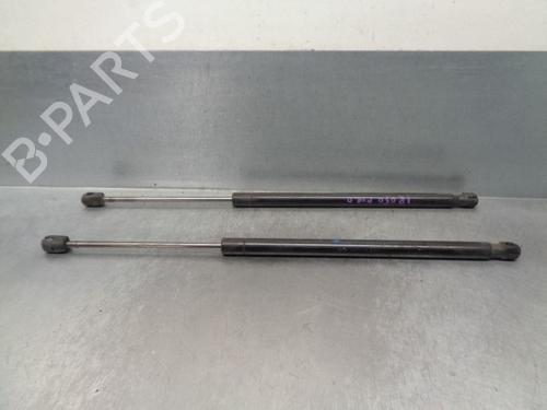 Tailgate lift support RENAULT SCÉNIC II (JM0/1_) 1.9 dCi (JM0G, JM12, JM1G, JM2C) | BP14330462C138 