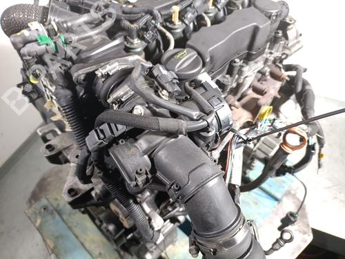 Engine CITROËN BERLINGO / BERLINGO FIRST MPV (MF_, GJK_, GFK_) 1.6 HDI 75 (MF9HW, GJ9HWC, GF9HWC, GN9HWC) | BP31213576M1 