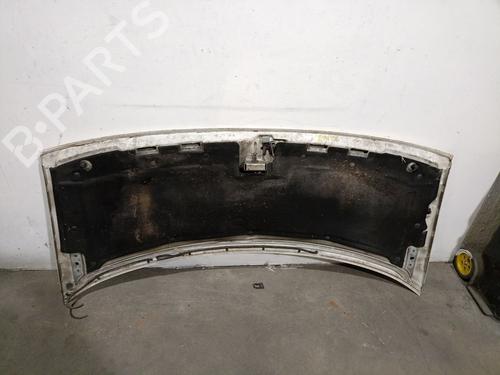 Hood CITROËN JUMPY I (U6U_) 1.9 TD | BP28316465C1 