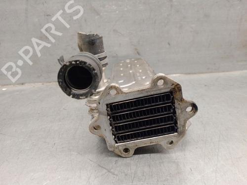 Egr AUDI A3 (8P1) 1.9 TDI | BP24394591M69 