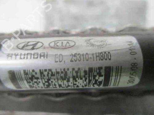 Køler KIA PRO CEE'D (ED) 2.0 CRDi 140 | BP7918395M31 