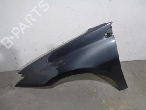 Used Left front fenders RENAULT LAGUNA III (BT0/1) 1.5 dCi (BT00, BT0A, BT0T, BT1J) (110 hp) 12261912