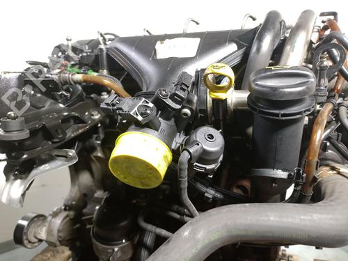Engine FORD S-MAX (WA6) 2.0 TDCi | BP31996025M1 