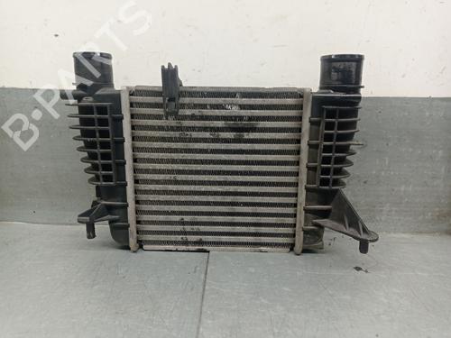 Intercooler RENAULT CLIO III (BR0/1, CR0/1) [2005-2014]  30609720