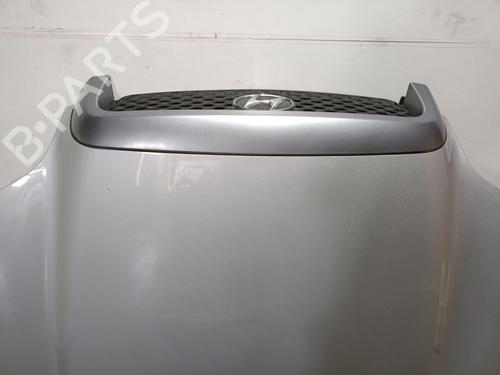 Hood HYUNDAI SANTA FÉ I (SM) 2.0 CRDi | BP28293632C1 