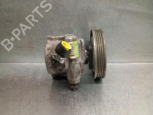 Stuurbekrachtiging pomp FIAT FIORINO Box Body/MPV (225_) 1.3 D Multijet (225BXD1A, 225BXB1A, 225BXB11) (75 hp) 31081828