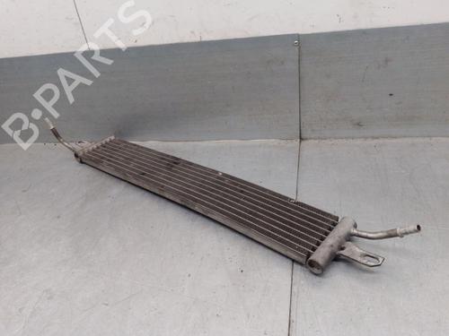Water radiator LAND ROVER RANGE ROVER SPORT I (L320) 3.6 D 4x4 | BP29595385M31