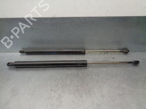 Tailgate lift support SEAT ALHAMBRA (7V8, 7V9) 1.9 TDI | BP20260481C138 