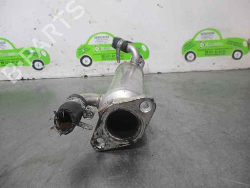 Egr PEUGEOT BOXER Van (244)  | BP2595500M69 