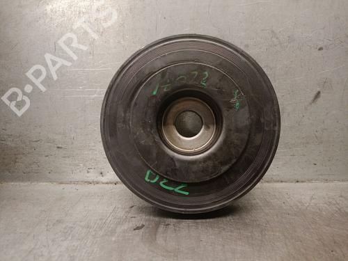 Used Pulley RENAULT MEGANE II (BM0/1_, CM0/1_) 1.9 dCi (BM0G, CM0G) (120 hp) 28189098