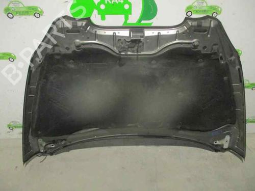 Hood SEAT TOLEDO III (5P2) 2.0 TDI | BP3196055C1 