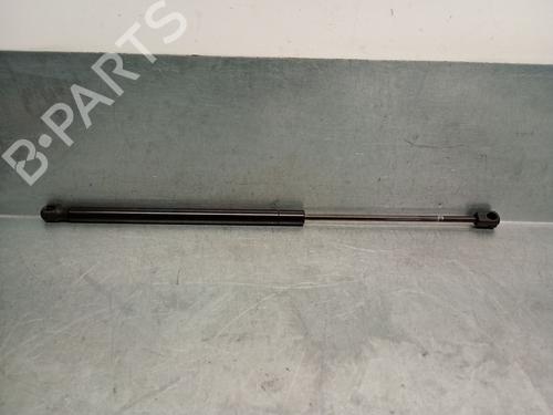 Used Hood lift support LAND ROVER RANGE ROVER SPORT I (L320) 3.0 D 4x4 (256 hp) 29361165