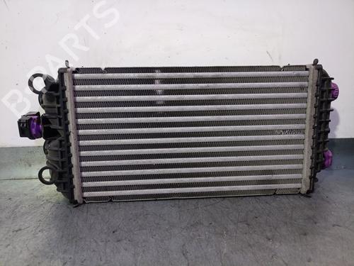Intercooler PEUGEOT 2008 II (UD_, US_, UY_, UJ_, UR_, UC_) 1.2 PureTech 100 (USHNK) | BP29807022M30 