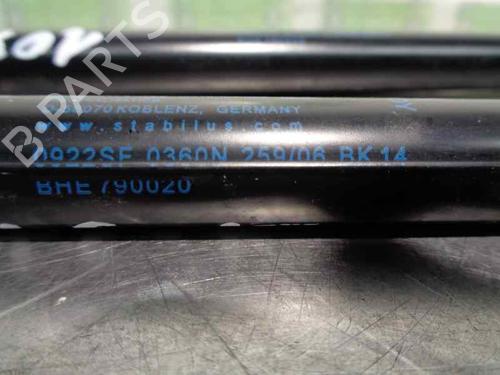 Tailgate lift support LAND ROVER RANGE ROVER SPORT I (L320) 4.4 4x4 | BP20253407C138 
