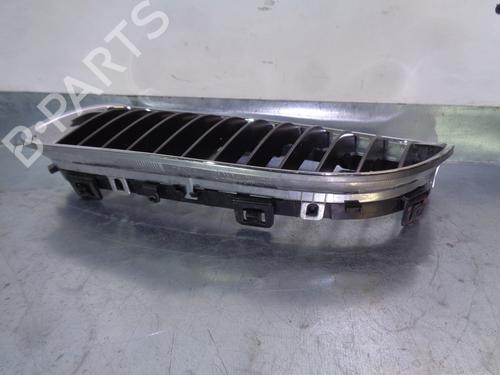 Grille BMW 3 (E90) 320 d | BP13737969C40 