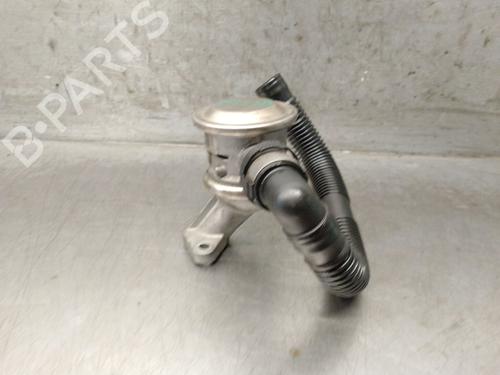 Egr BMW 3 (E46) 318 i (118 hp) 31096577