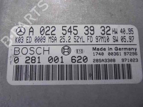 Engine control unit (ECU) MERCEDES-BENZ E-CLASS (W210) E 290 Turbo-D (210.017) | BP2064221M57 