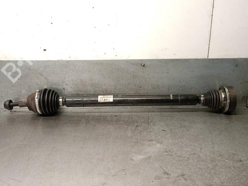 Used Right front driveshaft SKODA OCTAVIA II (1Z3) 1.9 TDI (105 hp) 29512471
