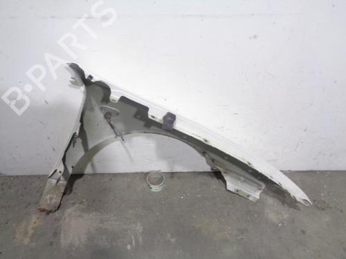 Left front fenders SEAT TOLEDO II (1M2) 1.9 TDI | BP12191686C41 