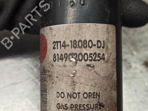 Left rear shock absorber FORD TOURNEO CONNECT 1.8 TDCi | BP16532186M18 