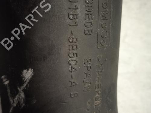 Pipe FORD FIESTA VII (HJ, HF)  | BP20265241M125 