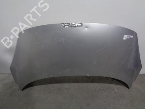 Hood RENAULT SCÉNIC III (JZ0/1_) 1.5 dCi (JZ02, JZ0R) 651008842R | GRIS