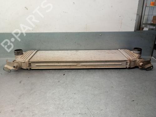 Intercooler SUZUKI GRAND VITARA II (JT, TE, TD) 1.9 DDiS (JB419WD, JB419XD) | BP31719077M30