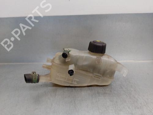 Used Expansion tank RENAULT MEGANE III Coupe (DZ0/1_) 1.2 TCe (DZ16, DZ28) (132 hp) 13375909