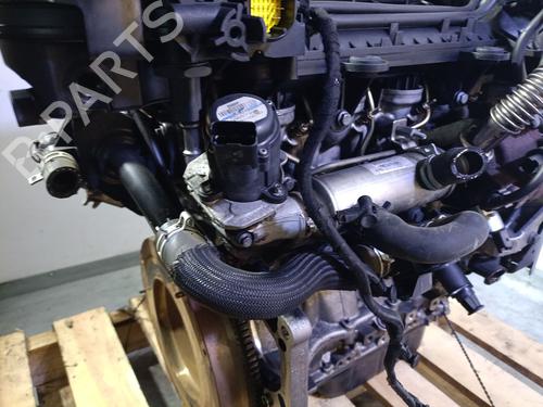 Engine FORD FIESTA VI (CB1, CCN) 1.4 TDCi | BP29421719M1 