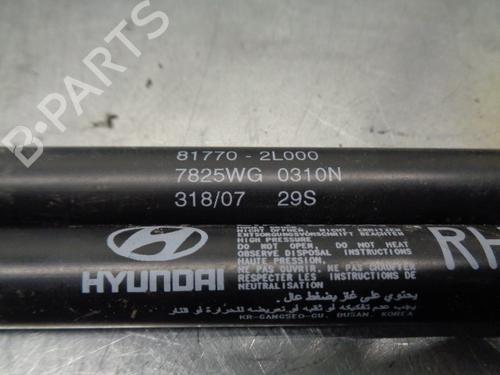 Tailgate lift support HYUNDAI i30 (FD) 1.4 | BP20265425C138 