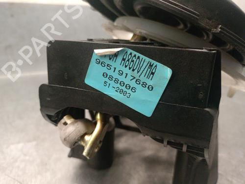 Gear lever CITROËN C3 I (FC_, FN_) 1.4 HDi | BP24917171M90 