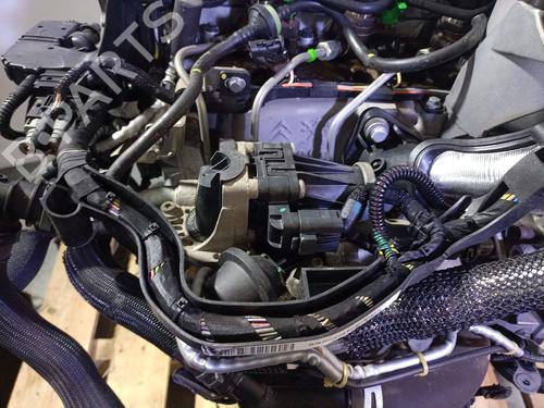 Engine PEUGEOT 3008 I MPV (0U_) 1.6 HDi | BP28422944M1 