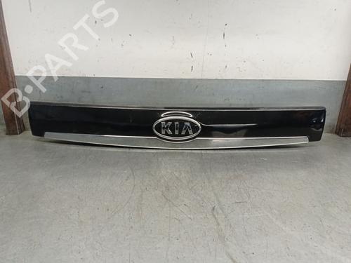 Other KIA CARNIVAL / GRAND CARNIVAL III (VQ) 2.2 CRDi 925014D010 | 925014D010