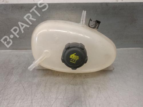 Expansion tank RENAULT TWINGO III (BCM_, BCA_) 0.9 TCe 90 (BCM9, BCM2) | BP29480022C120 