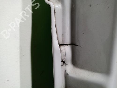 Right rear door FIAT DUCATO Van (250_) 140 Natural Power | BP29954102C5