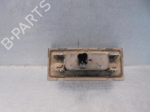Tailgate handle RENAULT CLIO III (BR0/1, CR0/1) 1.4 16V | BP16909774C132 