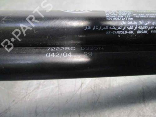 Tailgate lift support KIA PICANTO I (SA) 1.1 | BP20250491C138 