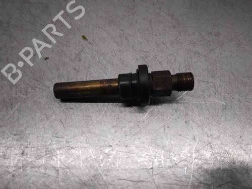 Injector MERCEDES-BENZ SL (R129) 300 SL-24 (129.061) | BP9734549M100