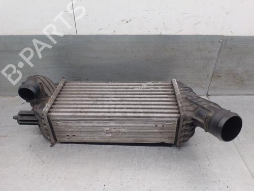 Intercooler CITROËN DS5 2.0 HDi 200 Hybrid4 All-wheel Drive | BP28129091M30 
