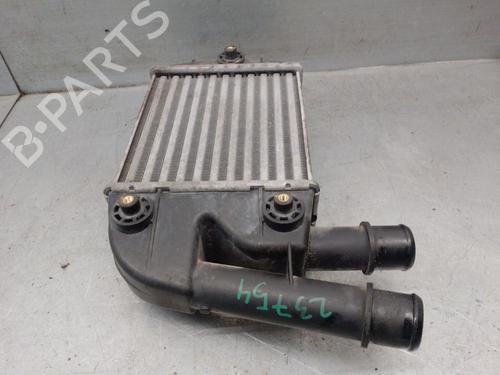 Intercooler FIAT PANDA (169_) 1.3 D Multijet (169AXG1A, 169AXD1A) | BP29604438M30 