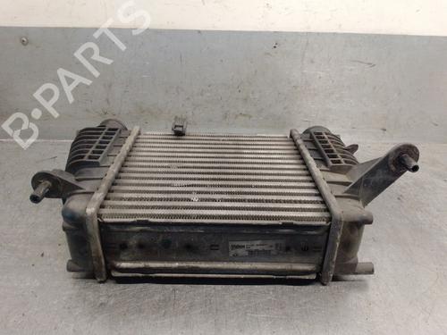 Intercooler RENAULT CLIO III (BR0/1, CR0/1) 1.5 dCi (BR17, CR17) | BP32343332M30