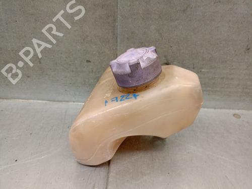 expansion-tank-derbi-senda-0-36503344 main image