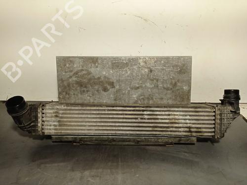 Used Intercooler RENAULT SCÉNIC III (JZ0/1_) 1.6 dCi (JZ00, JZ12) (130 hp) 29190930
