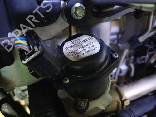 Motor FORD FIESTA VI (CB1, CCN) 1.6 TDCi | BP29407276M1 