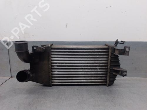 Intercooler OPEL ZAFIRA / ZAFIRA FAMILY B (A05) 1.7 CDTI (M75) (125 hp) 29325745