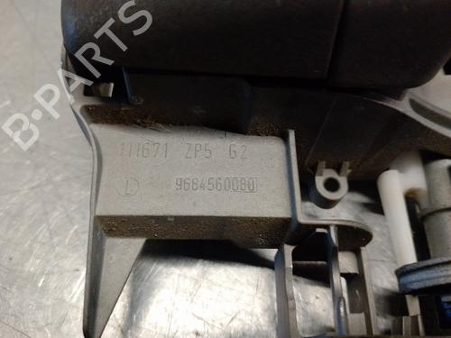 Rear left exterior door handle CITROËN C3 I (FC_, FN_) 1.1 LPG | BP15404245C130 