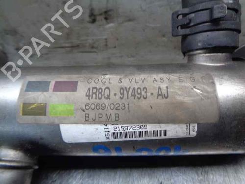 Egr JAGUAR S-TYPE II (X200) 2.7 D | BP5542307M69 
