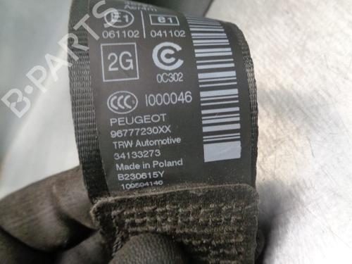 Rear left seatbelt PEUGEOT 308 SW II (LC_, LJ_, LR_, LX_, L4_) 1.6 BlueHDi 120 | BP10038330I29 