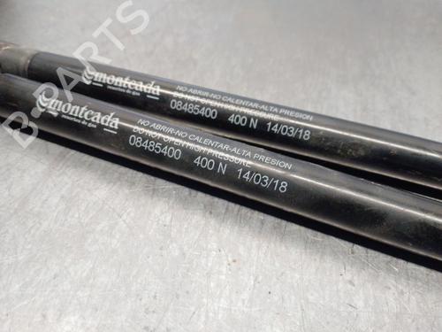Tailgate lift support LAND ROVER DISCOVERY III (L319) 2.7 TD 4x4 | BP17388450C138 