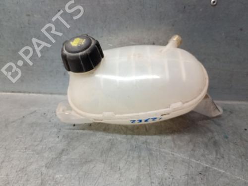 Expansion tank RENAULT EXPRESS Box Body/MPV 1.5 Blue dCi 75 (F6AA) | BP29220628C120